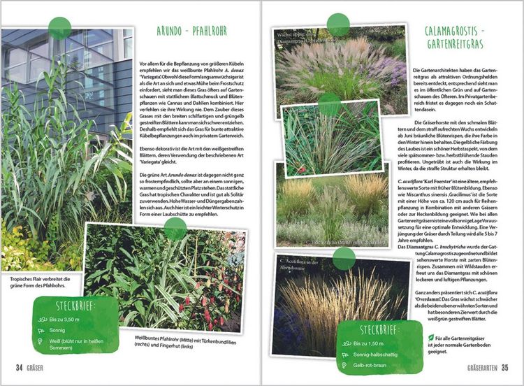 Produktbild: MDR Garten - Gr&auml;ser