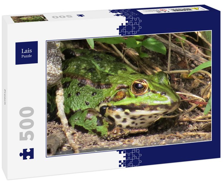 Produktbild: Lais Puzzle Frosch 500 Teile