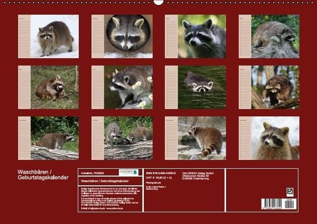 Produktbild: Waschb&auml;ren / Geburtstagskalender (Wandkalender immerw&auml;hrend DIN A2 quer)