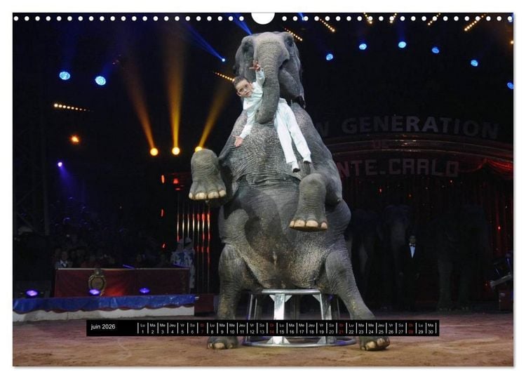 Produktbild: Les cadets du cirque &agrave; Monaco (Calendrier mural 2026 DIN A3 vertical), CALVENDO calendrier mensuel