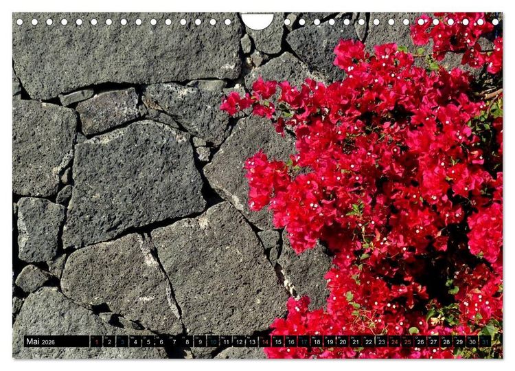 Produktbild: Vulkaninsel Lanzarote (Wandkalender 2026 DIN A4 quer), CALVENDO Monatskalender
