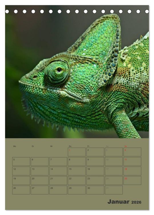 Produktbild: Minidrachen - Die kleinen Nachkommen der Urzeitmonster (Tischkalender 2026 DIN A5 hoch), CALVENDO Monatskalender