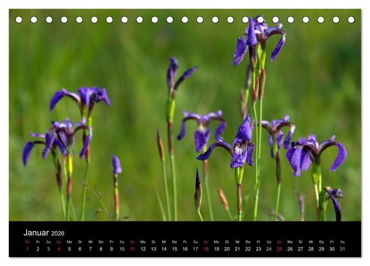 Produktbild: Sibirien- Impressionen von der Lena (Tischkalender 2026 DIN A5 quer), CALVENDO Monatskalender
