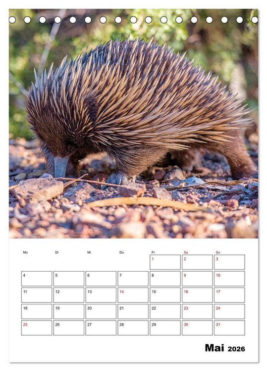 Produktbild: Australiens faszinierende Tierwelt (Tischkalender 2026 DIN A5 hoch), CALVENDO Monatskalender