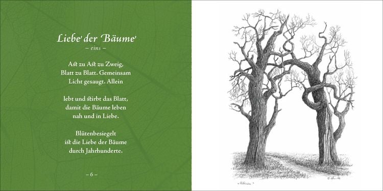 Produktbild: Bäume