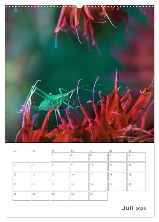 Produktbild: Helden in der Natur (Wandkalender 2026 DIN A2 hoch), CALVENDO Monatskalender