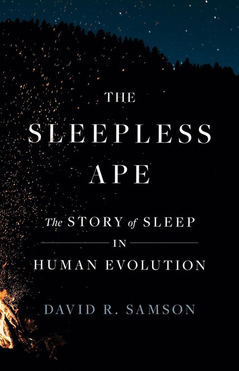 Produktbild: The Sleepless Ape