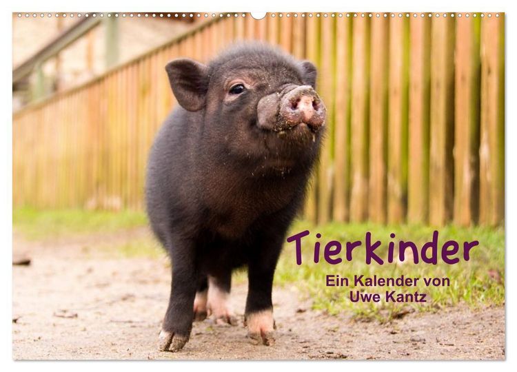 Produktbild: Tierkinder (Wandkalender 2027 DIN A2 quer), CALVENDO Monatskalender