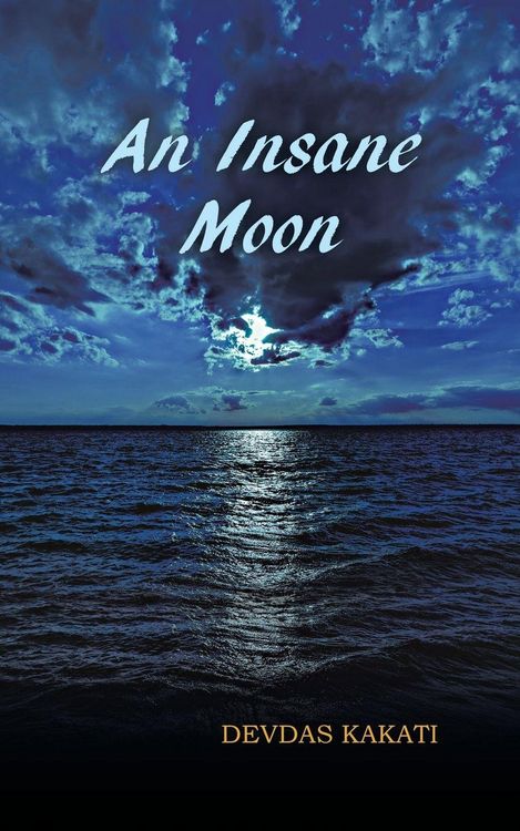Produktbild: An Insane Moon