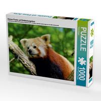 Produktbild: CALVENDO Puzzle Kleiner Panda auf Entdeckungstour 1000 Teile Lege-Gr&ouml;&szlig;e 64 x 48 cm Foto-Puzzle Bild von Peter Hebgen