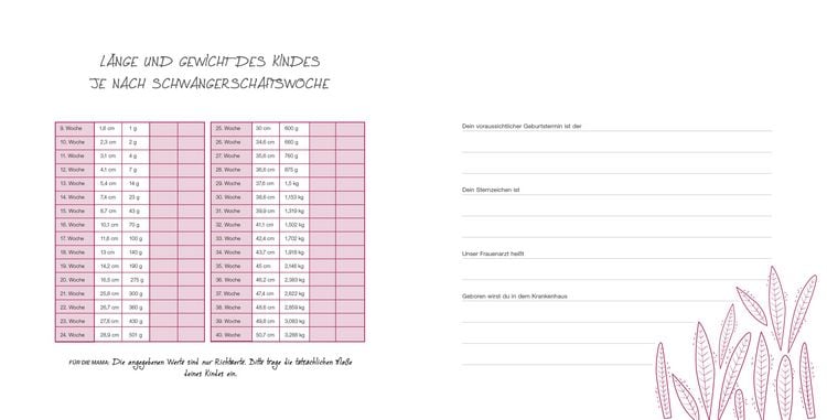 Produktbild: Meine Schwangerschaft
