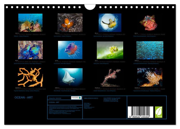 Produktbild: OCEAN - ART (Wandkalender 2026 DIN A4 quer), CALVENDO Monatskalender