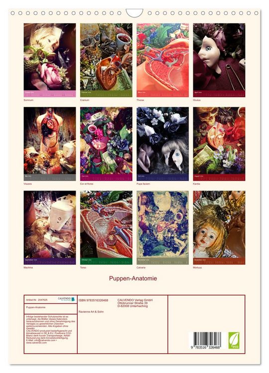 Produktbild: Puppen-Anatomie (Wandkalender 2026 DIN A3 hoch), CALVENDO Monatskalender