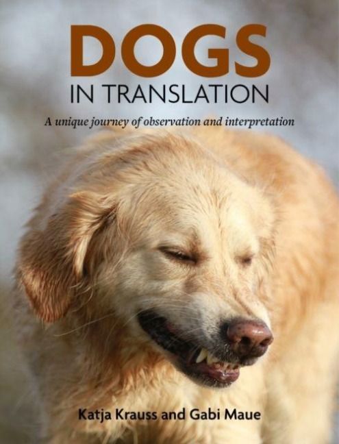 Produktbild: Maue, G: Dogs In Translation