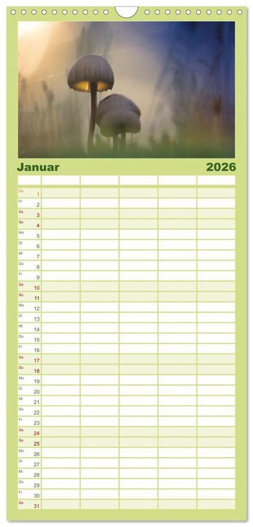 Produktbild: Familienplaner 2026 - Pilzmagie mit 5 Spalten (Wandkalender, 21 x 45 cm) CALVENDO