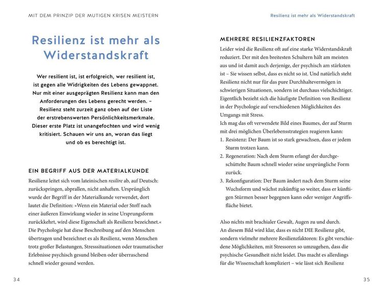 Produktbild: Das Prinzip der Mutigen
