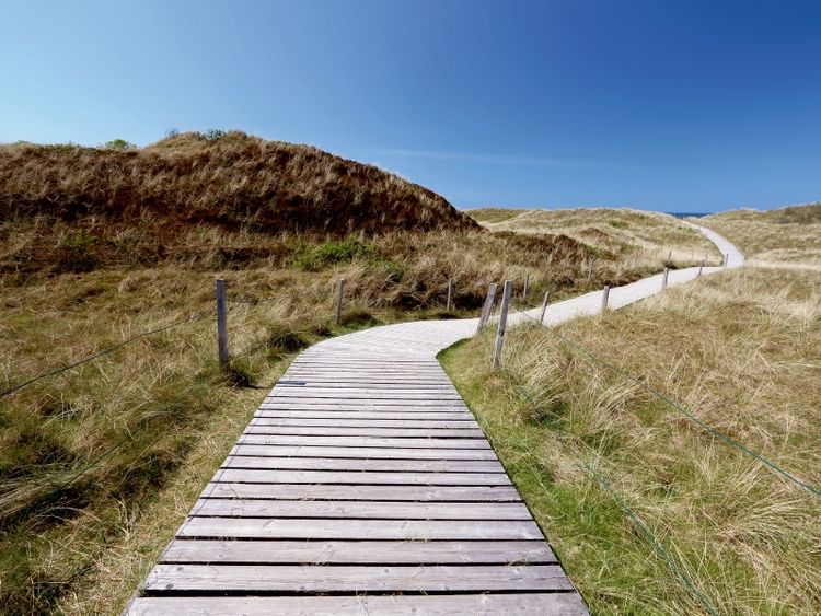 Produktbild: Weg zum Meer / Spiekeroog (Puzzle)