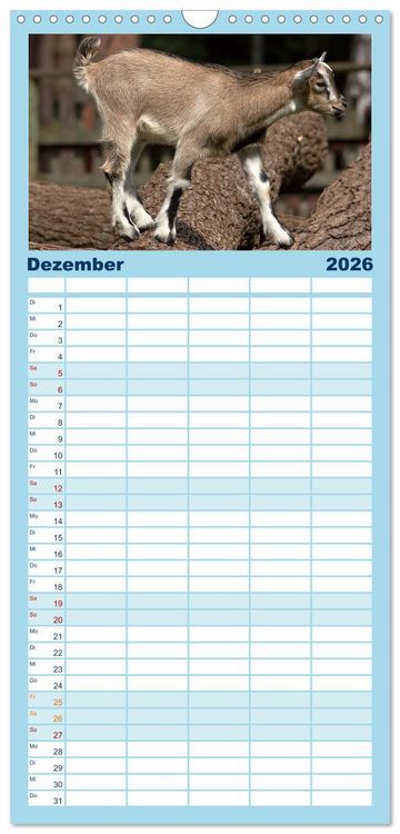 Produktbild: Familienplaner 2026 - Zwergziegen mit 5 Spalten (Wandkalender, 21 x 45 cm) CALVENDO