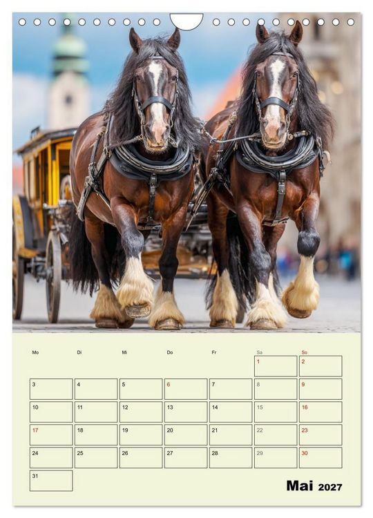 Produktbild: Shire Horse Magie. Englands sanfte Giganten (Wandkalender 2027 DIN A4 hoch), CALVENDO Monatskalender