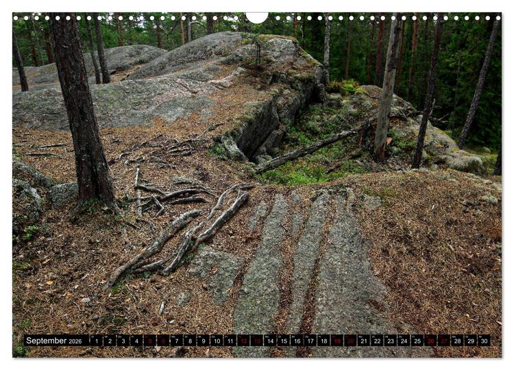 Produktbild: Tiveden, der NatURWALD in Schweden (Wandkalender 2026 DIN A3 quer), CALVENDO Monatskalender