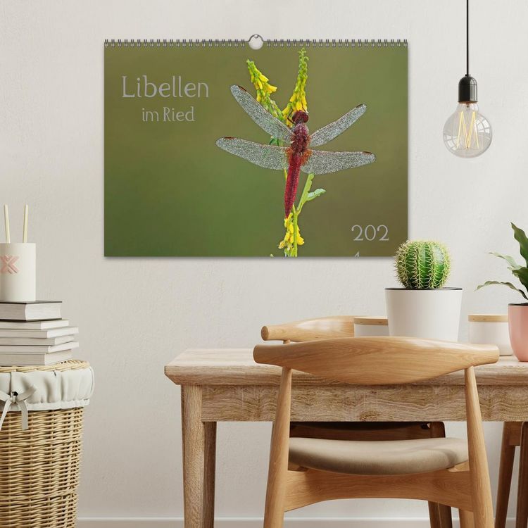 Produktbild: Libellen im Ried (Wandkalender 2026 DIN A3 quer), CALVENDO Monatskalender