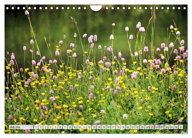 Produktbild: Georgien - Kirchen Kl&ouml;ster Kaukasus (Wandkalender 2026 DIN A4 quer), CALVENDO Monatskalender