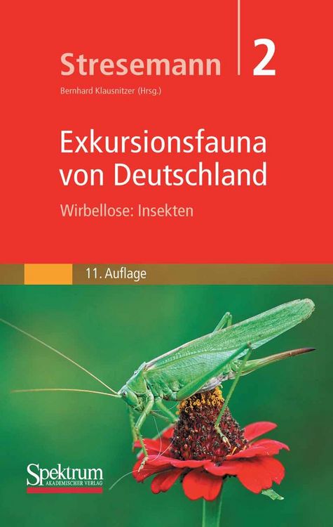 Produktbild: Stresemann - Exkursionsfauna von Deutschland, Band 2: Wirbellose: Insekten