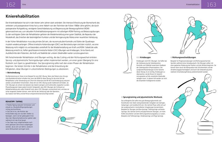 Produktbild: Die Anatomie der Sportverletzungen