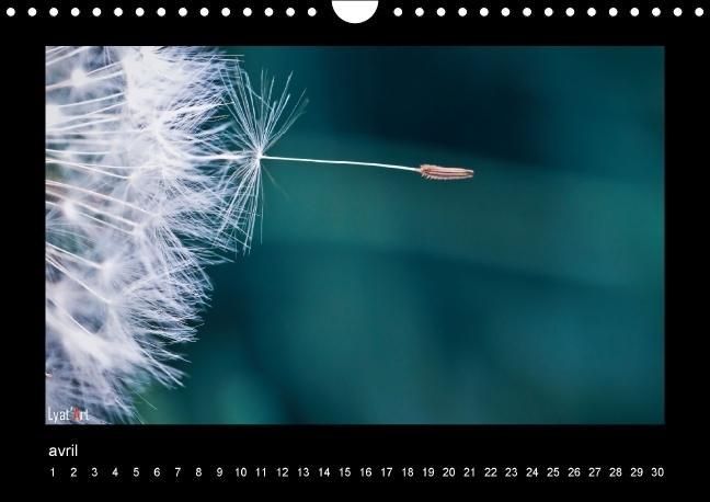 Produktbild: Liatard, A: Fleurs et couleurs (Calendrier mural Calendrier