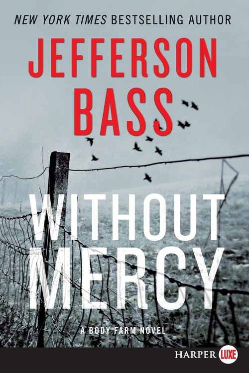 Produktbild: Without Mercy LP