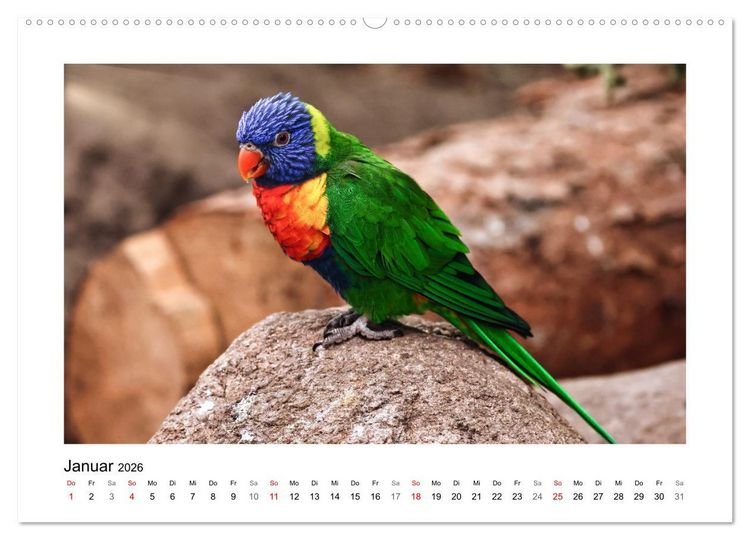 Produktbild: Zauberhaft und farbenfroh (hochwertiger Premium Wandkalender 2026 DIN A2 quer), Kunstdruck in Hochglanz