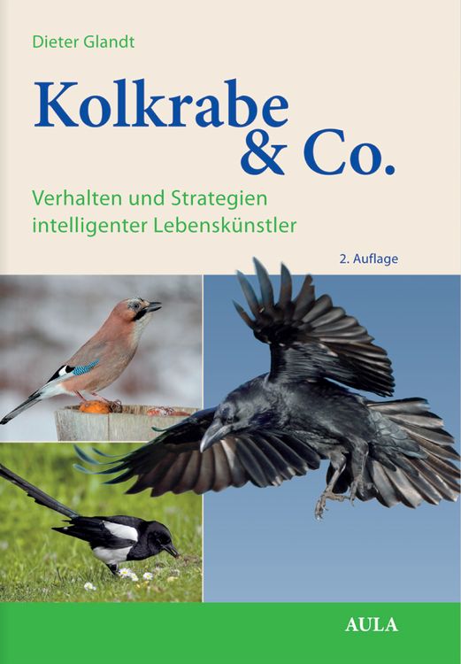 Produktbild: Kolkrabe & Co.