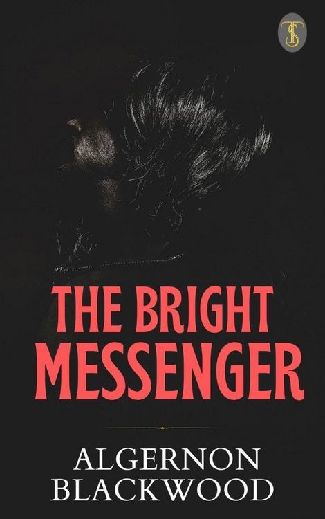 Produktbild: The Bright Messenger