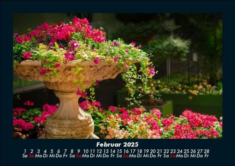 Produktbild: Blumenkalender 2025 Fotokalender DIN A5