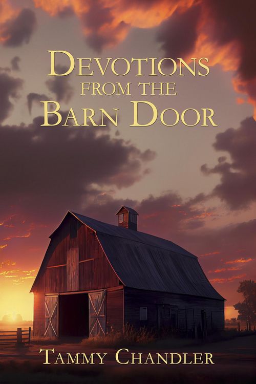 Produktbild: Devotions from the Barn Door (Devotions from Everyday Things, #6)