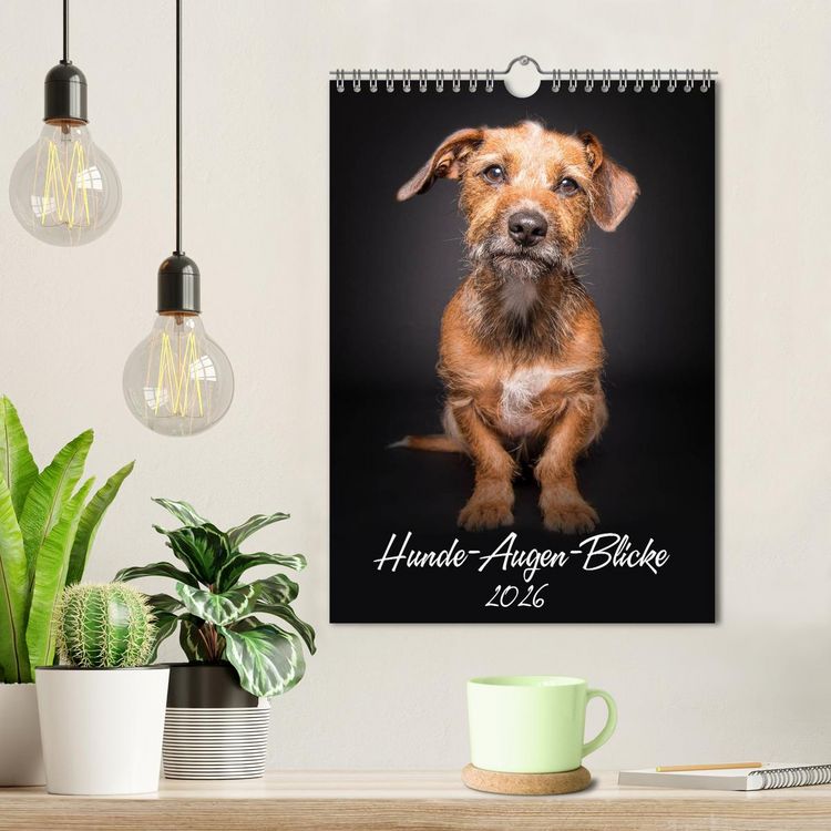Produktbild: Hunde-Augen-Blicke (Wandkalender 2026 DIN A4 hoch), CALVENDO Monatskalender