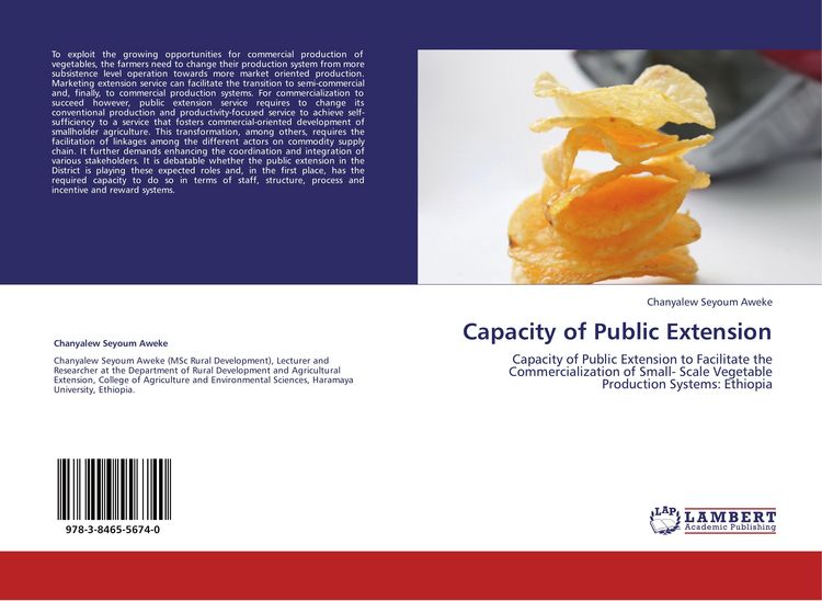 Produktbild: Capacity of Public Extension