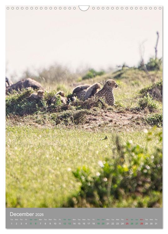 Produktbild: Wildlife of the Masai Mara (Wall Calendar 2026 DIN A3 portrait), CALVENDO 12 Month Wall Calendar