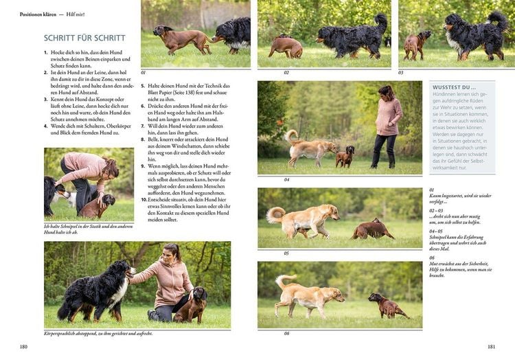 Produktbild: Hunde f&uuml;hlen und anleiten