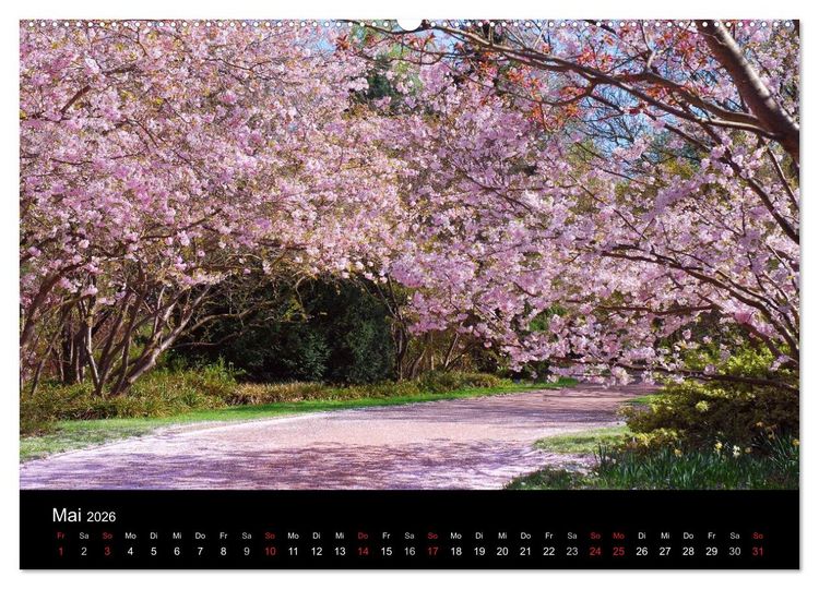 Produktbild: Die vier Jahreszeiten (hochwertiger Premium Wandkalender 2026 DIN A2 quer), Kunstdruck in Hochglanz
