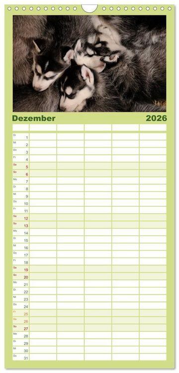 Produktbild: Familienplaner 2026 - Husky Welpen mit 5 Spalten (Wandkalender, 21 x 45 cm) CALVENDO