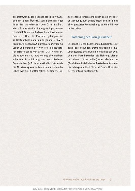 Expertenwissen: Fettleber