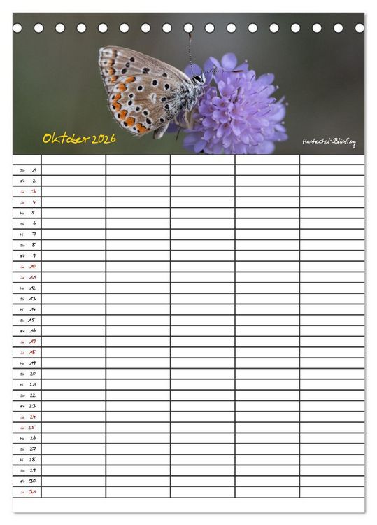 Produktbild: Schmetterlinge in Bayern (Tischkalender 2026 DIN A5 hoch), CALVENDO Monatskalender
