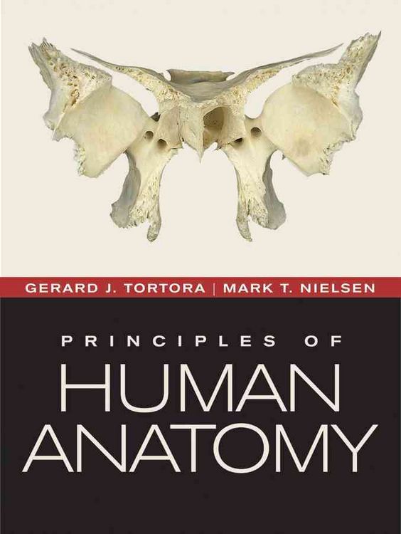 Produktbild: Principles of Human Anatomy