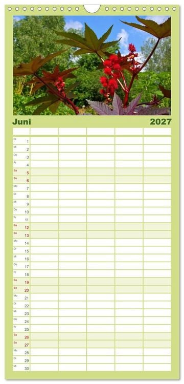 Produktbild: Familienplaner 2027 - Arzneipflanzen mit 5 Spalten (Wandkalender, 21 x 45 cm) CALVENDO