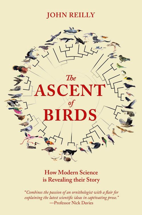Produktbild: The Ascent of Birds