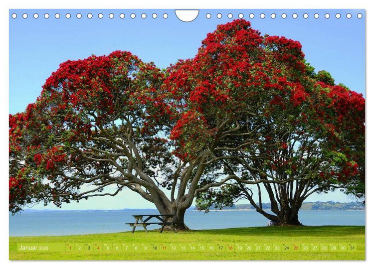 Produktbild: Neuseeland &bull; Impressionen (Wandkalender 2026 DIN A4 quer), CALVENDO Monatskalender