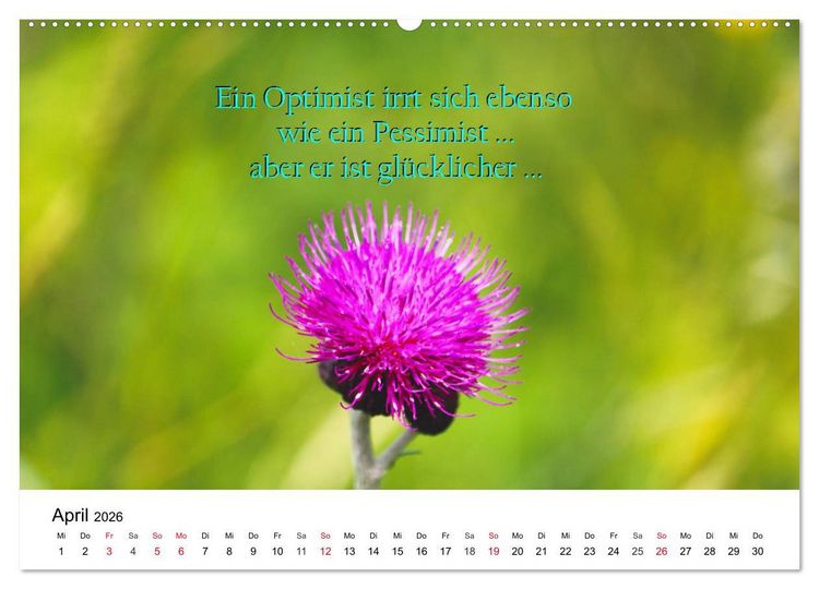 Produktbild: Lebensweisheiten 2026 (Wandkalender 2026 DIN A2 quer), CALVENDO Monatskalender