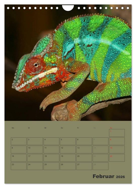 Produktbild: Minidrachen - Die kleinen Nachkommen der Urzeitmonster (Wandkalender 2026 DIN A4 hoch), CALVENDO Monatskalender