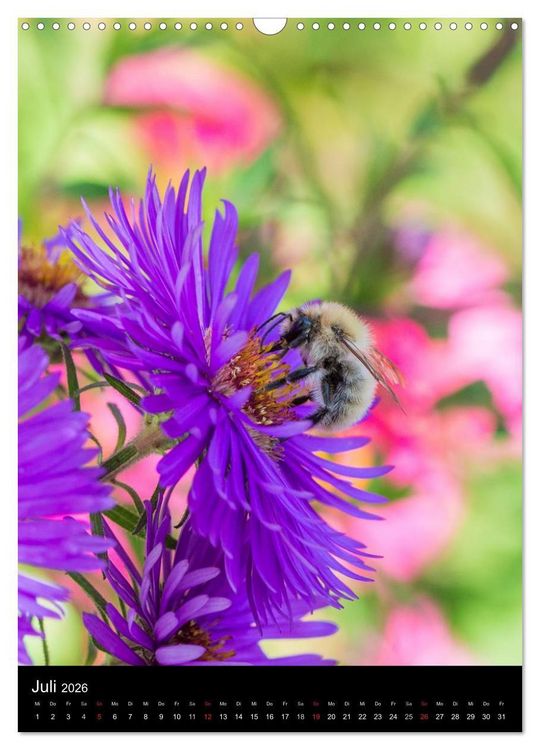 Produktbild: Bienen und Hummeln (Wandkalender 2026 DIN A3 hoch), CALVENDO Monatskalender